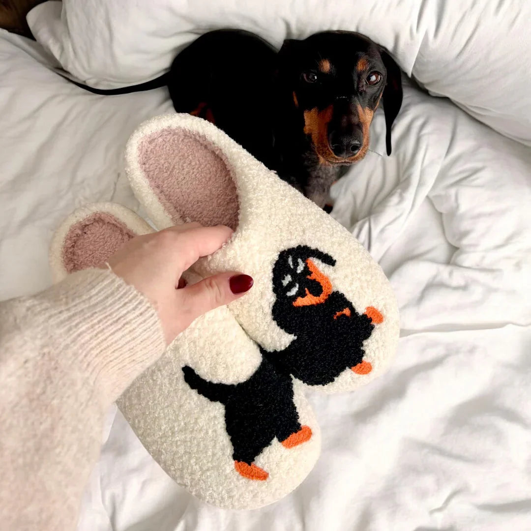 CosyPaws | Warm feet with your favourite animals